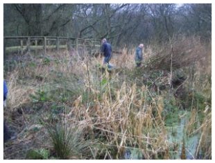 Pond at start of clearance. &copy;VG