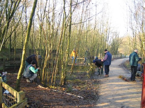 Willow weaving. &copy;VG