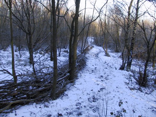 Behind the Visitor Centre. &copy;SMcK